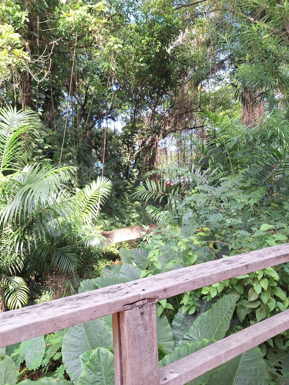 A rustic wooden fence, with aligned planks, enclosing an outdoor space.